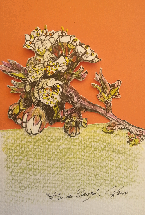 Flor de cerezo